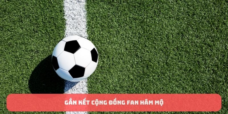 Các quy định, chính sách về chúng tôi