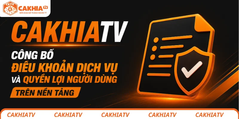 Người hâm mộ tìm hiểu điều khoản tại CakhiaTV trước khi sử dụng nền tảng
